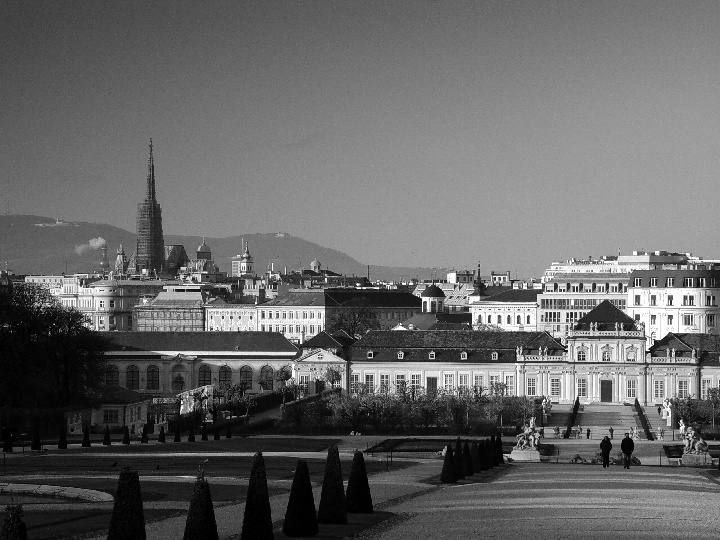 Vienna Black&White DSC05719_bw